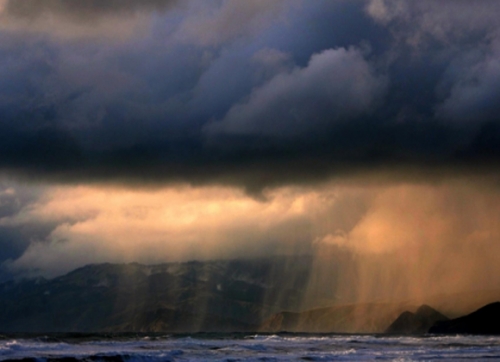 ����ʪ������