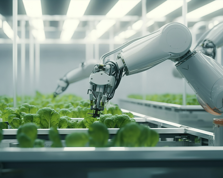 ����ģ������